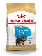 Psi - krmivo - Royal Canin Breed Yorkshire Puppy/Junior