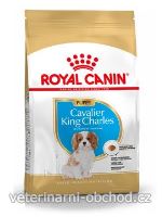 Psi - krmivo - Royal Canin Breed Kavalír King Charles Junior
