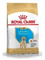 Psi - krmivo - Royal Canin Breed Labrador Junior